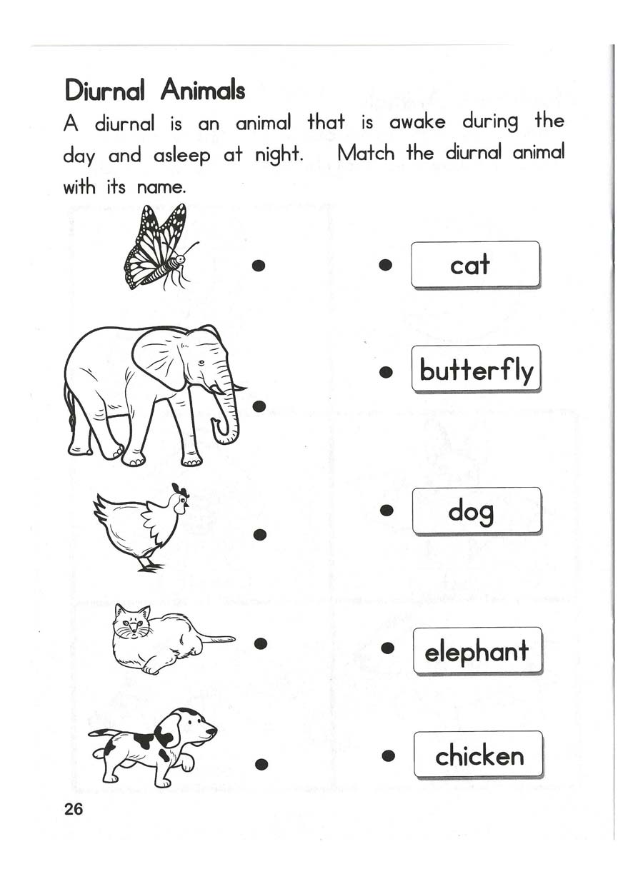 Fun With Science Set of 3